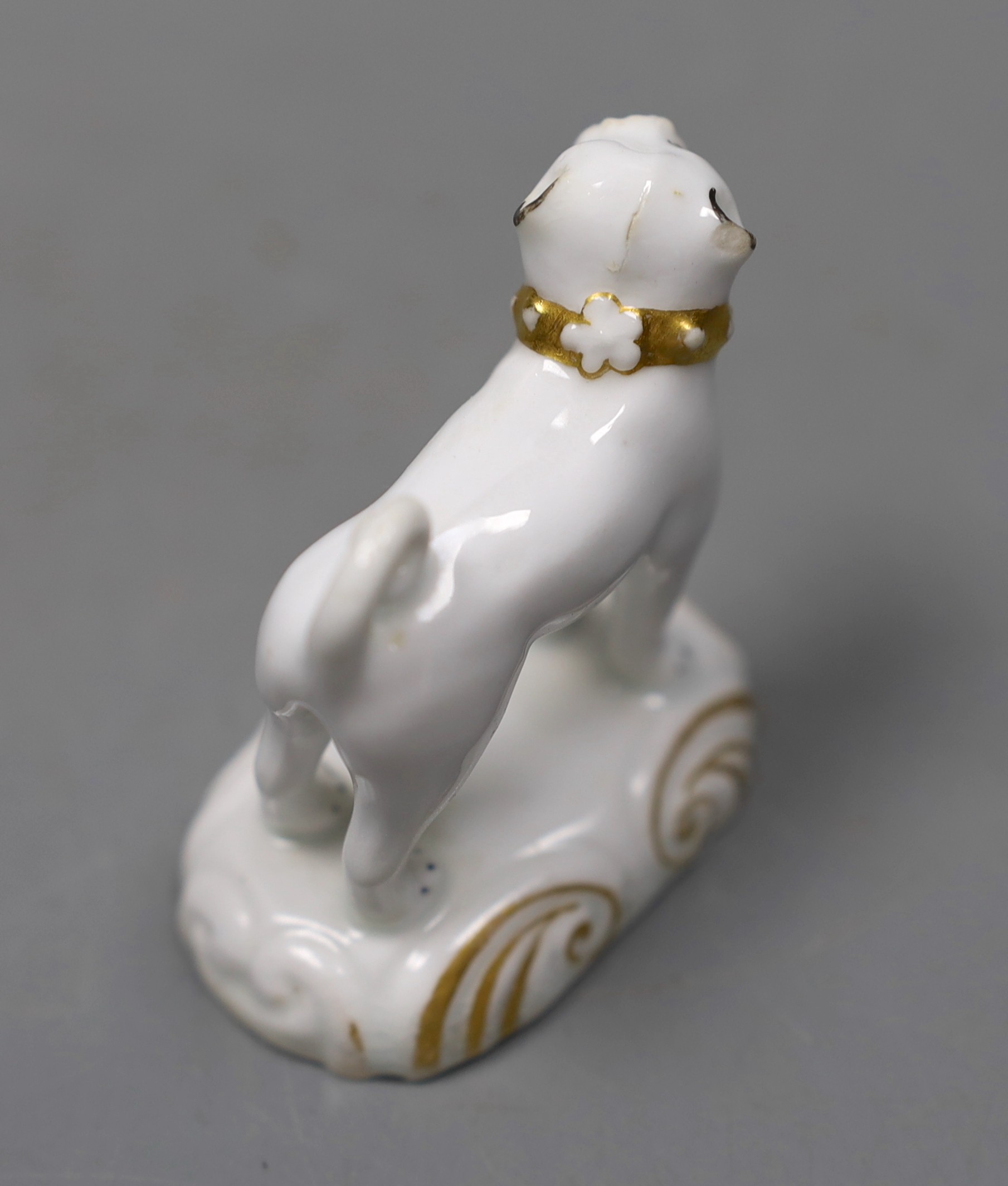 A rare Staffordshire porcelain model of a standing pug, c.1830–50, on a scroll moulded base, Provenance- Dennis G Rice collection